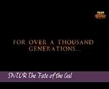 Kaliyo customization 5