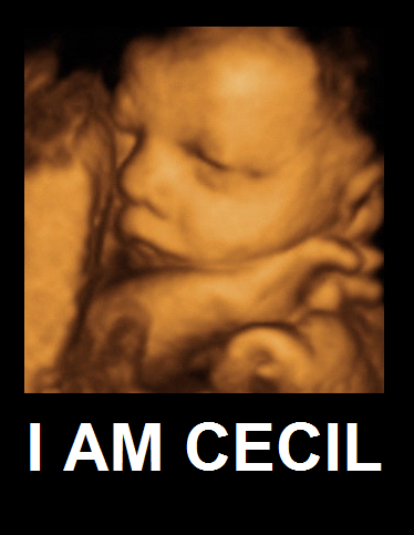  photo i am cecil.png