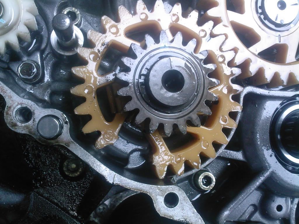 Always Change Your Gear Oil ! 125cc Sportsbikes Forum