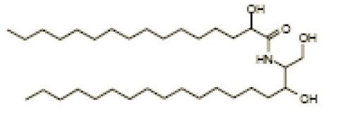 Hydroxypalmitoyl sphinganine