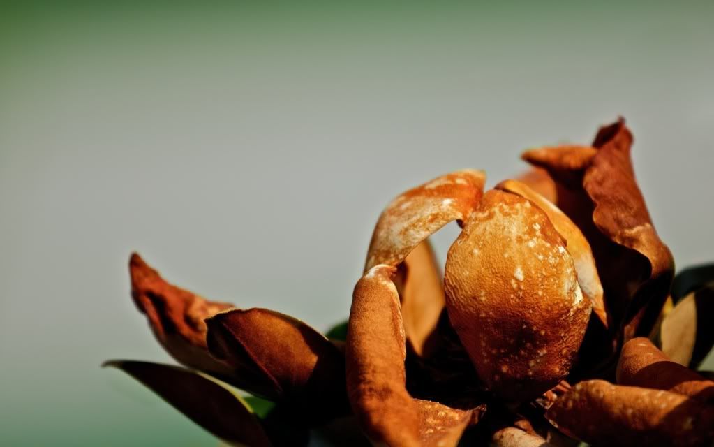 IMAGE: http://i953.photobucket.com/albums/ae12/jlitton85/Scenery/IMG_2225-Version3.jpg