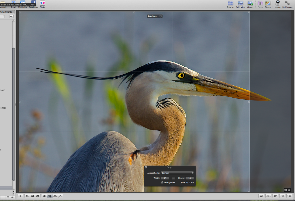 IMAGE: http://i953.photobucket.com/albums/ae12/jlitton85/Screenshot2011-03-04at73311PM.png
