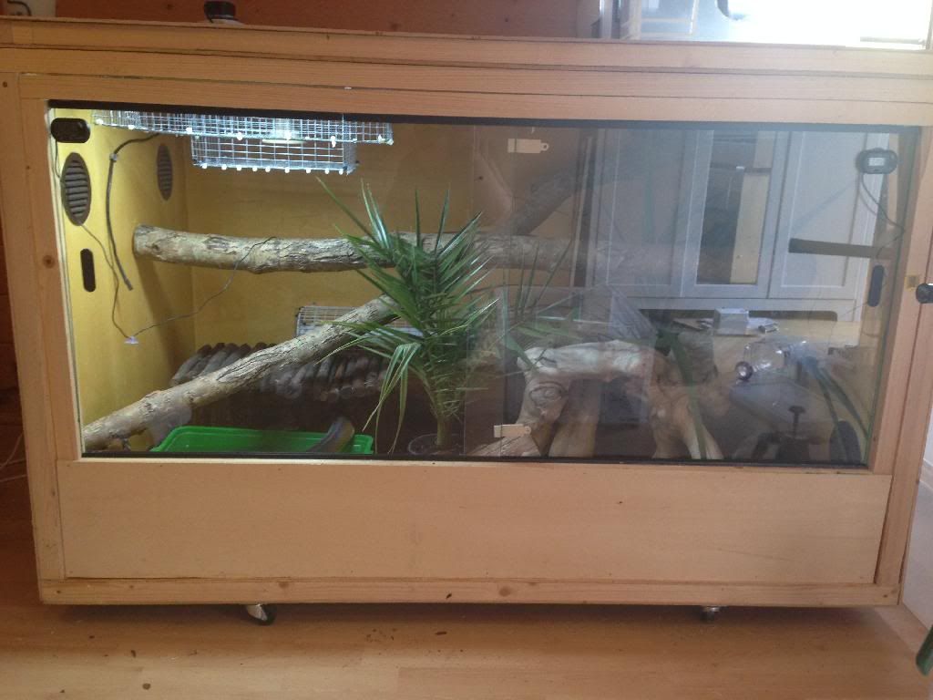 Heating Large Arboreal Vivarium Reptile Forums