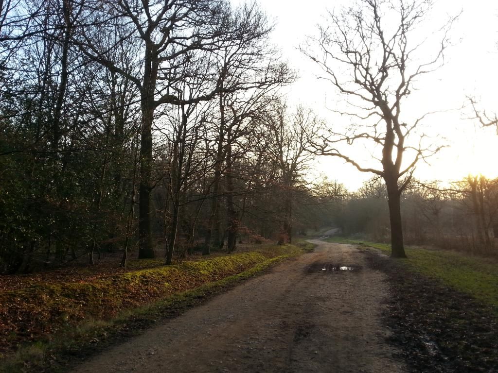 20150123_153606_zpsrfmr3xuk.jpg