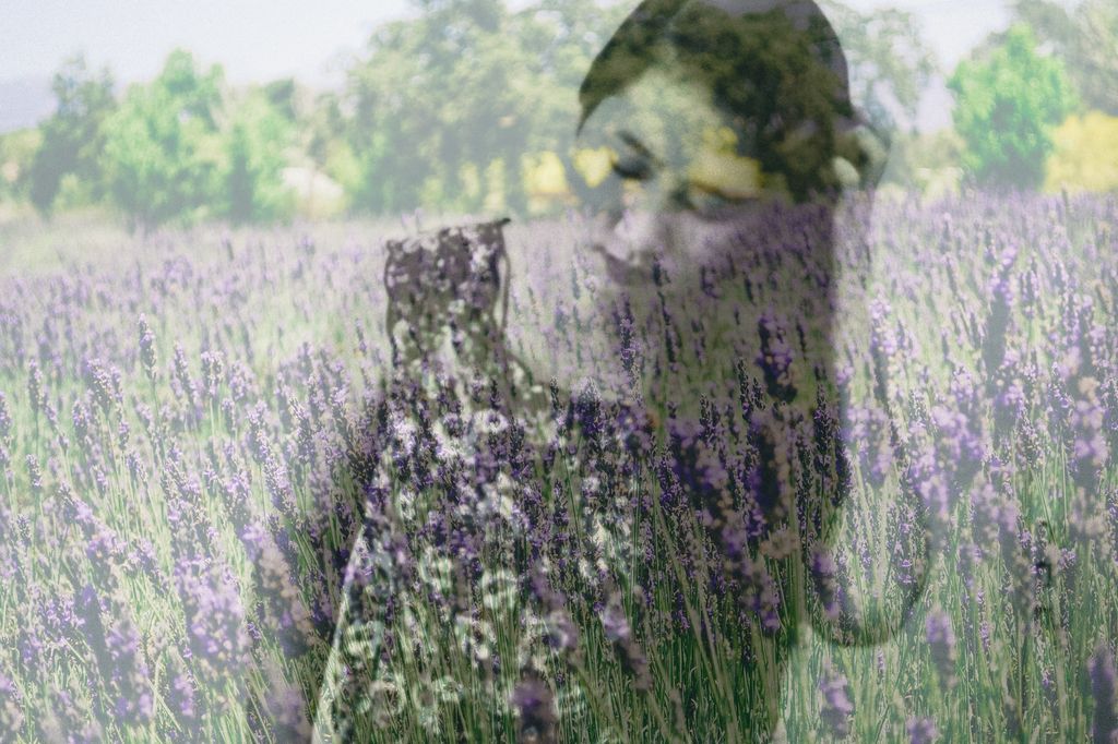  photo lavender dreams_zpshbb5lpmp.jpg