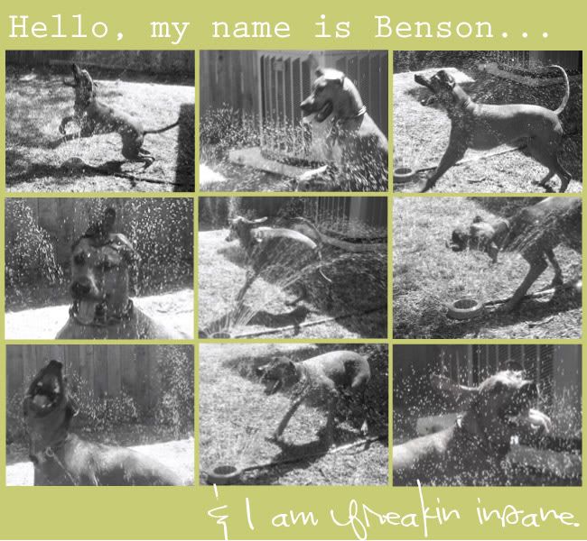 Benson,Oh Louise blog