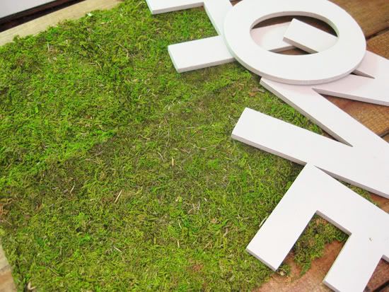 moss letters,moss covered letters,oh louise,oh louise blog,DIY moss