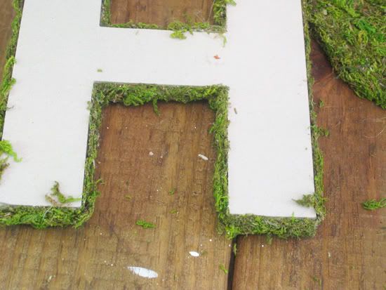 moss letters,moss covered letters,oh louise,oh louise blog,DIY moss