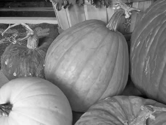 oh louise!,oh louise blog,pumpkins,front door pumpkins