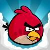 angry birds Pictures, Images and Photos