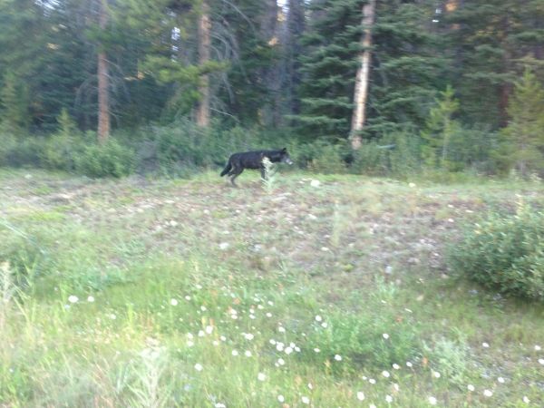  photo IMG_3531_zps2a72a64c.jpg
